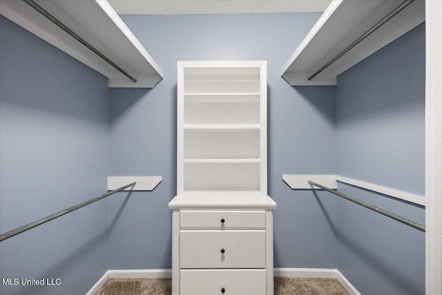 walk in closet with carpet floors