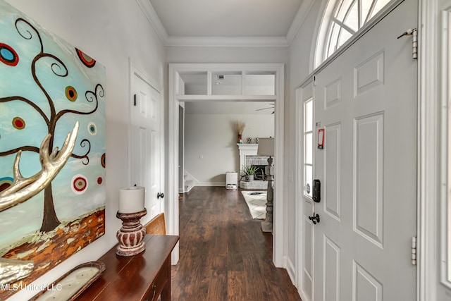 708 Oak Trl, Canton, MS 39046 - foyer featuring dark wood-style flooring, ornamental molding, a fireplace, and baseboards