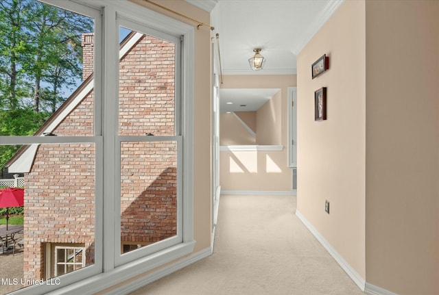 hall with baseboards, carpet floors, and crown molding