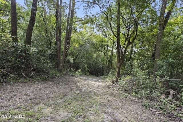 5297 Tuxachanie Dr, Biloxi, MS 39532 - view of wooded area