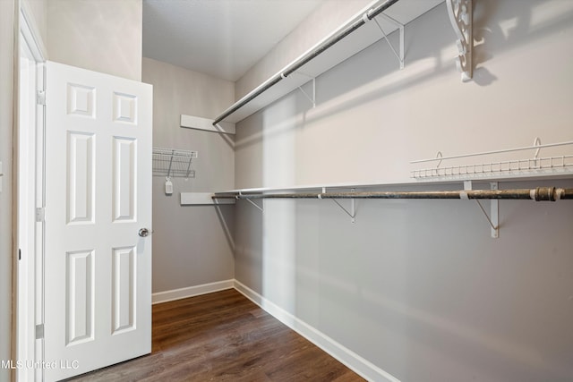 spacious closet with dark wood-type flooring