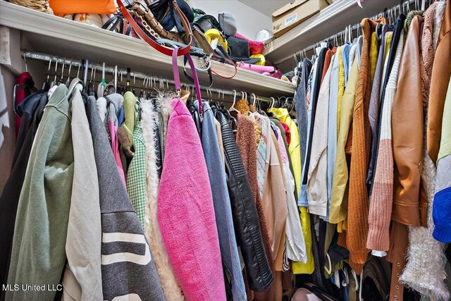 505 Golden Eagle Dr, Byram, MS 39272 - view of spacious closet
