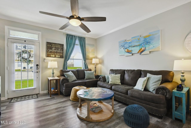 living room with dark wood-type flooring, ceiling fan, ornamental molding, and a wealth of natural light