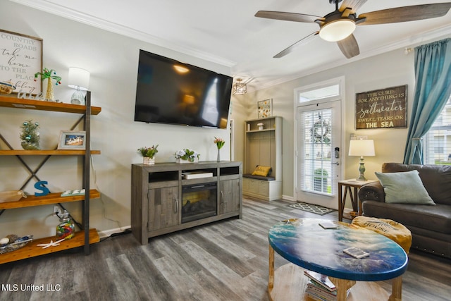 living room featuring crown molding, wood-type flooring, a fireplace, and ceiling fan