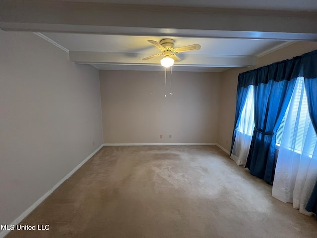 carpeted spare room with beam ceiling, crown molding, and ceiling fan