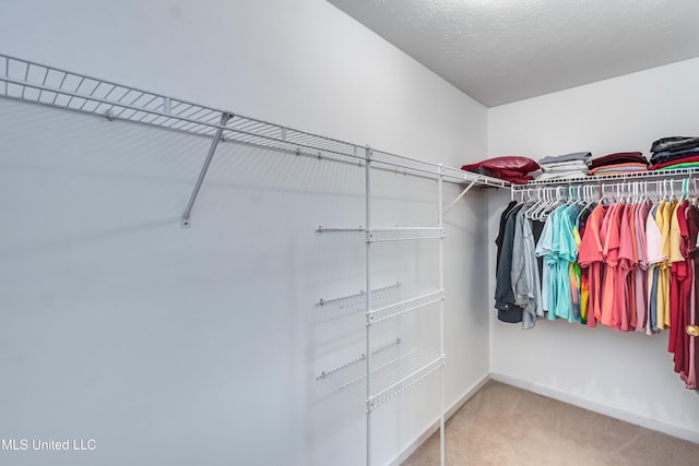 814 Lynwood Ln, Pearl, MS 39208 - walk in closet with carpet floors