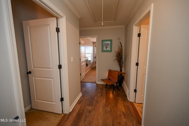 corridor featuring ornamental molding and dark hardwood / wood-style floors