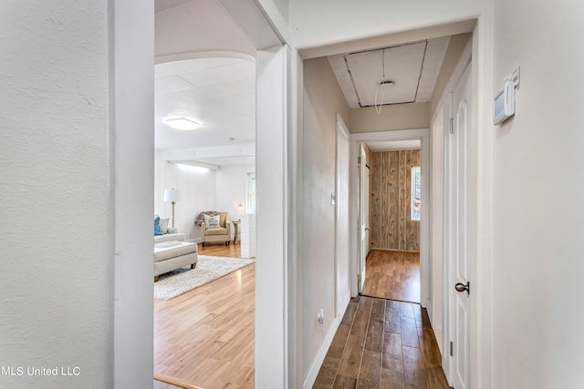 hallway with wood walls and wood-type flooring