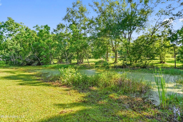 3241 Kings Bridge Rd, Moss Point, MS 39562 - view of yard with a water view
