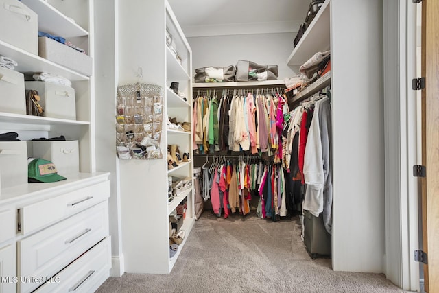 walk in closet featuring light carpet