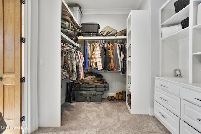 walk in closet with light colored carpet