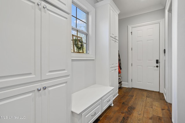 mudroom featuring dark wood-type flooring