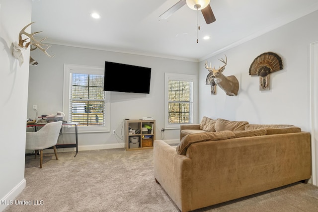 carpeted living room with ceiling fan and ornamental molding