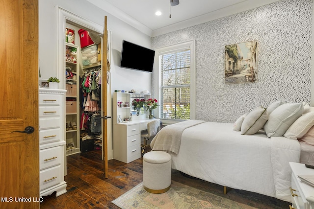 bedroom with ornamental molding, a spacious closet, dark wood-type flooring, and a closet