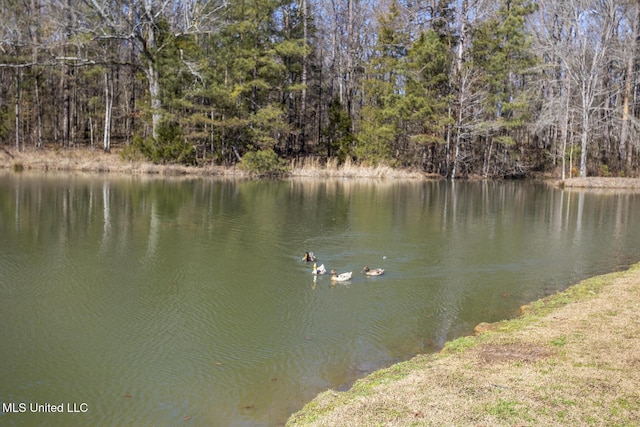 view of water feature