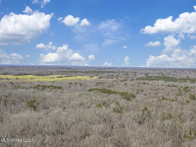 view of local wilderness with a rural view