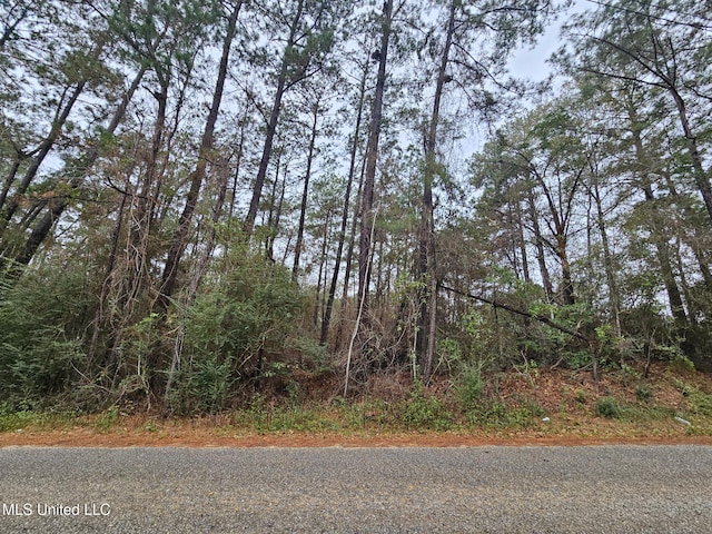 Fir St, Poplarville MS, 39470 land for sale