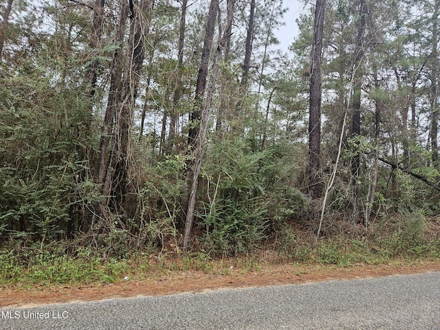 Listing photo 2 for Fir St, Poplarville MS 39470