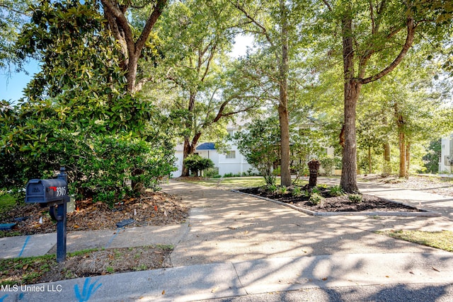 view of front of home with concrete driveway