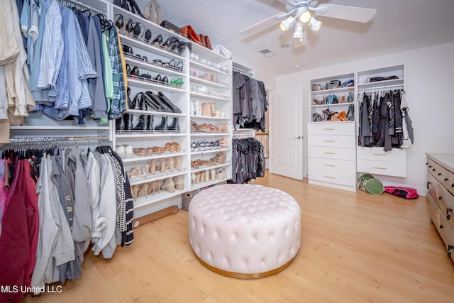 spacious closet featuring visible vents, wood finished floors, and a ceiling fan