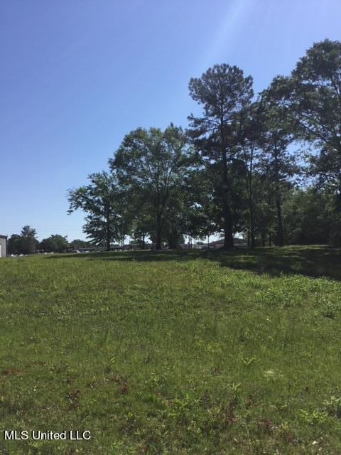 1232 S Main St, Poplarville MS, 39470 land for sale