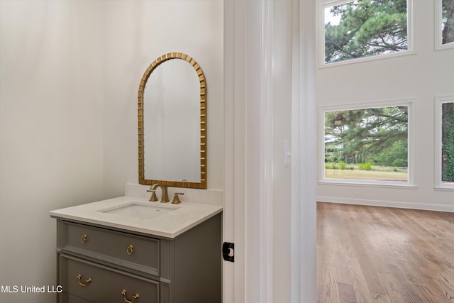 1594 Victoria Rd, Byhalia, MS 38611 - bathroom with vanity, wood finished floors, and healthy amount of natural light