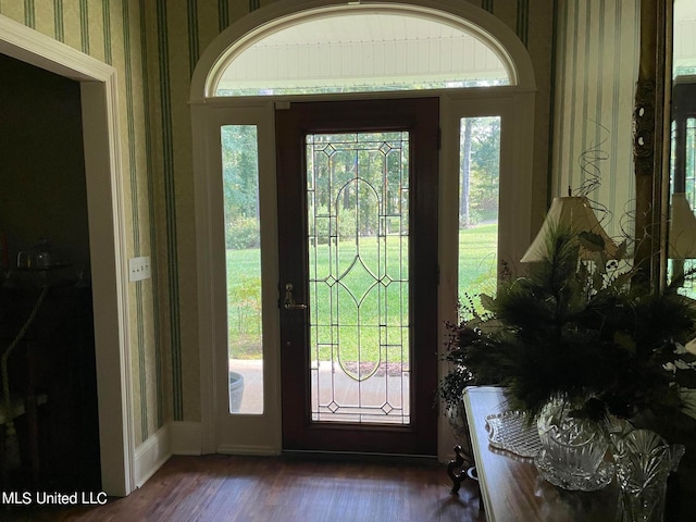 doorway featuring dark wood-type flooring and plenty of natural light