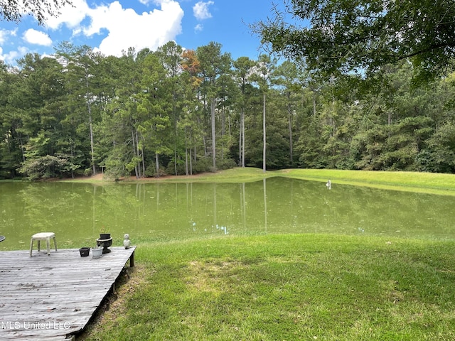 dock area with a water view and a yard