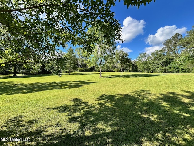 31019 N 19th Hwy, West, MS 39192 - view of yard