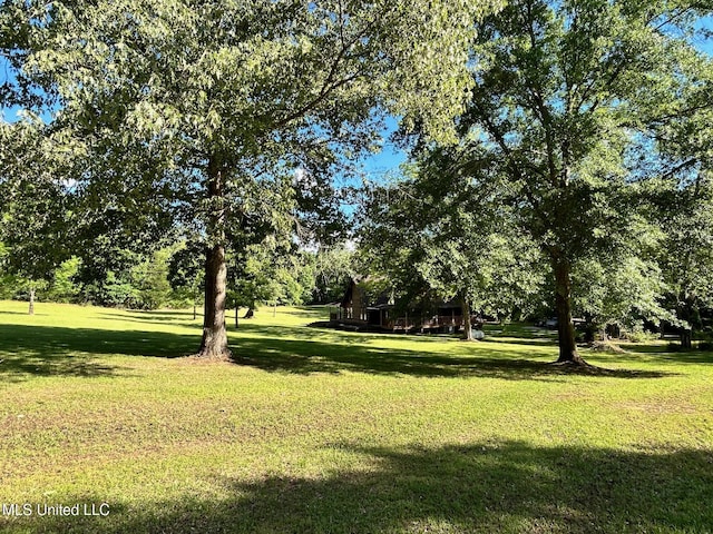 31019 N 19th Hwy, West, MS 39192 - view of yard