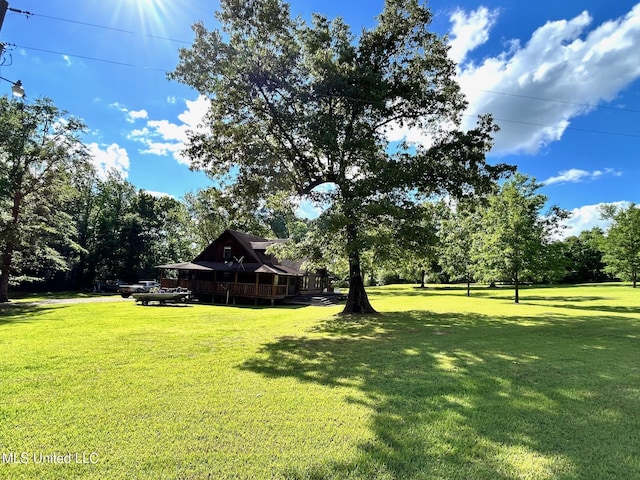 31019 N 19th Hwy, West, MS 39192 - view of yard