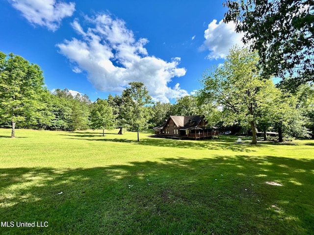 31019 N 19th Hwy, West, MS 39192 - view of yard