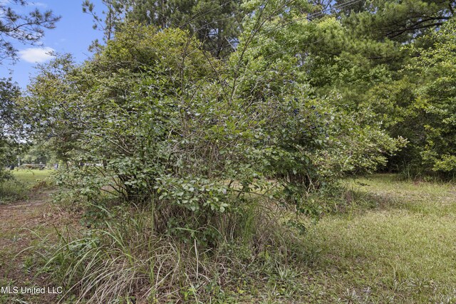 23601 Hinton Rd, Lucedale, MS 39452