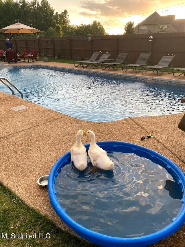 view of pool with a patio area, fence, and a fenced in pool