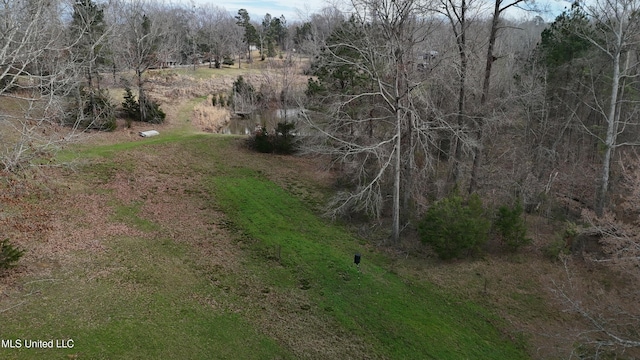 view of landscape with a forest view