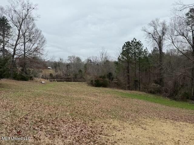 view of yard featuring a view of trees