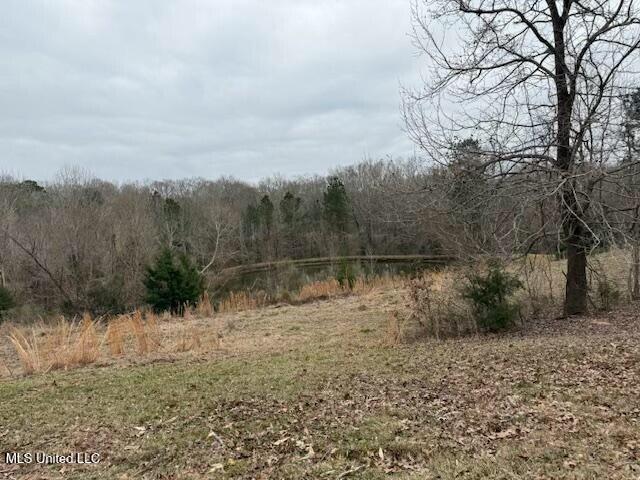 view of local wilderness featuring a forest view