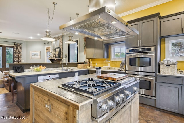 kitchen featuring ornamental molding, island exhaust hood, a healthy amount of sunlight, and stainless steel appliances