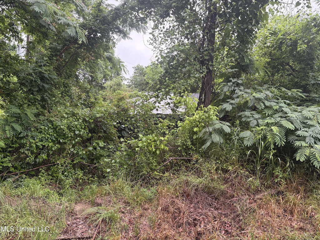 722 Lower Woodville Rd, Natchez, MS 39120