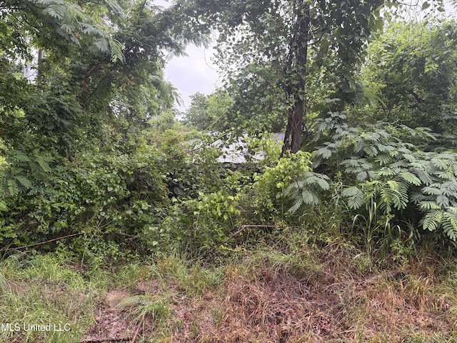 722 Lower Woodville Rd, Natchez, MS 39120