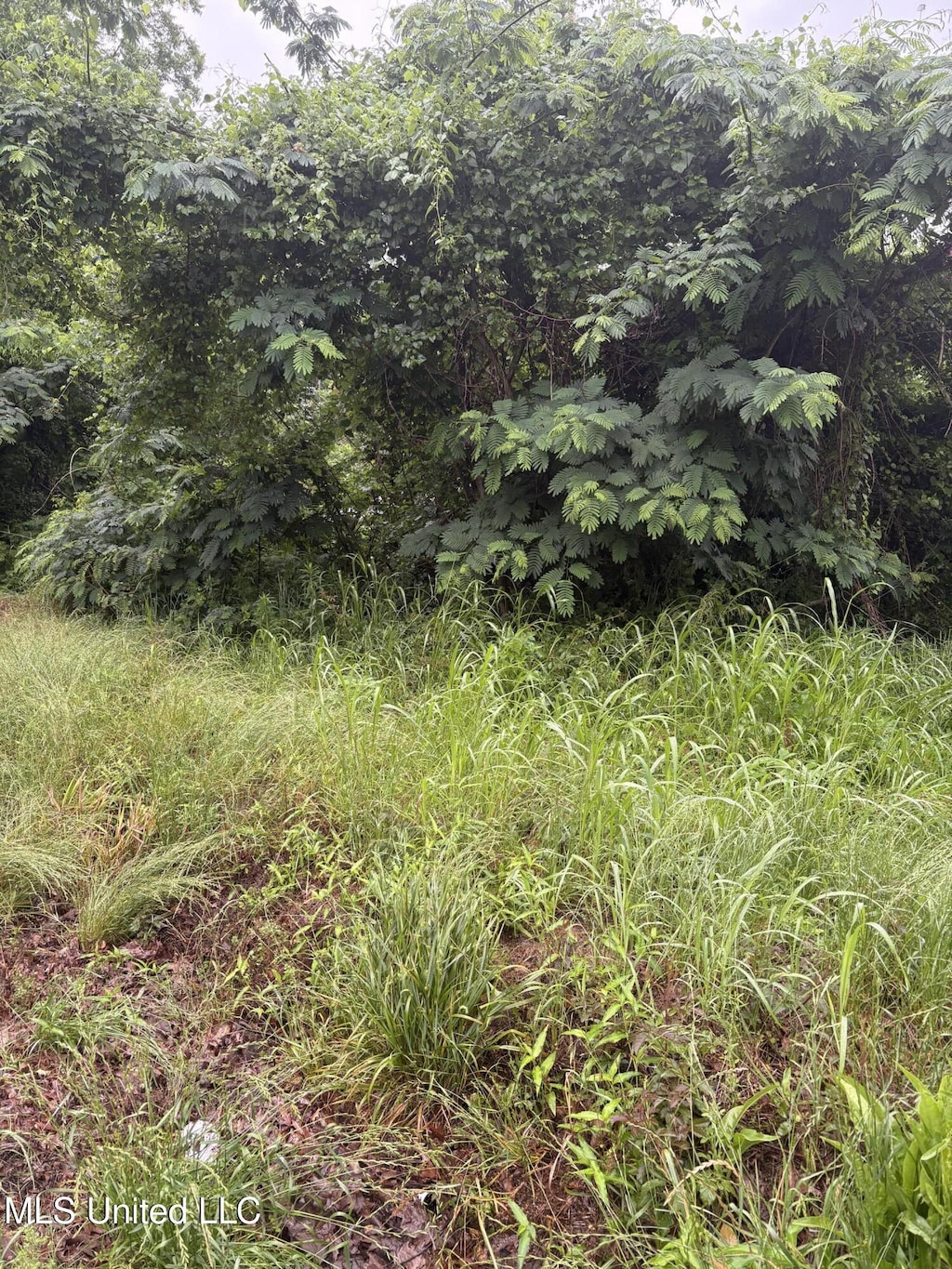 722 Lower Woodville Rd, Natchez, MS 39120