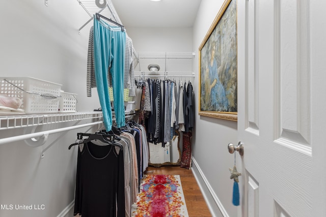 spacious closet with wood-type flooring