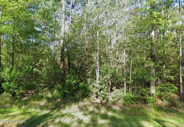 00 Shawnee St, Kiln MS, 39556 land for sale