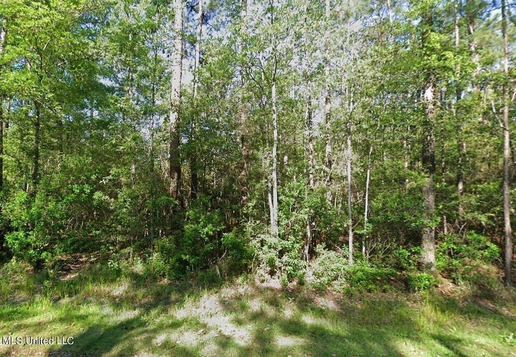 00 Shawnee St, Kiln, MS 39556