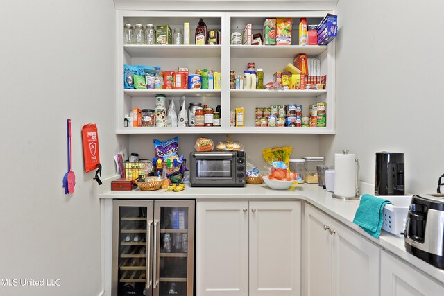 pantry with wine cooler