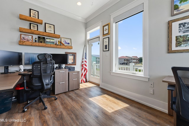 office with crown molding and wood-type flooring