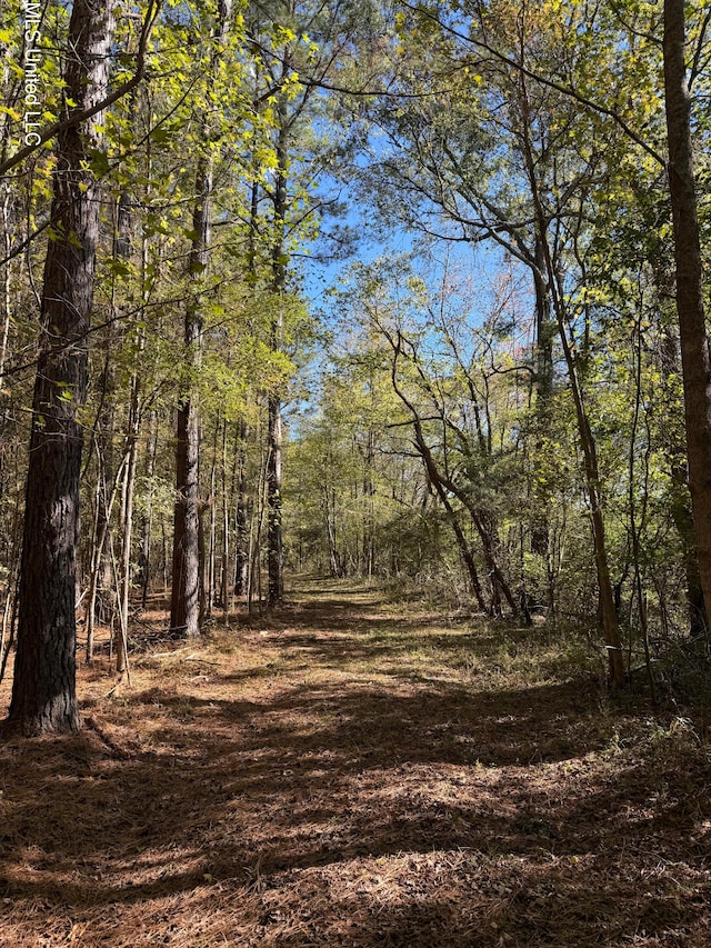 2770 Boyd Rd, Utica MS, 39175 land for sale