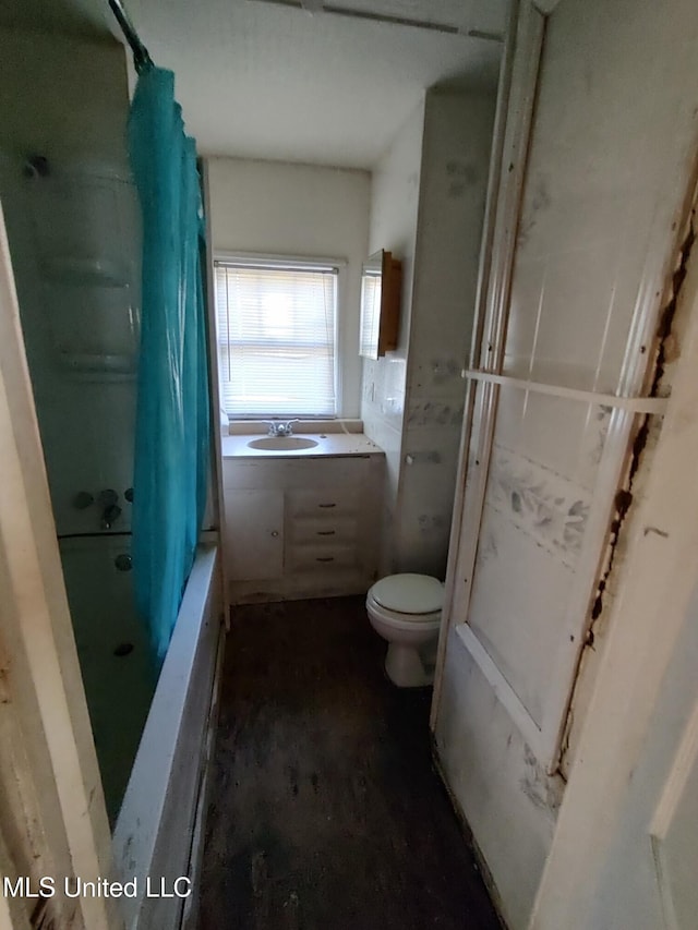 full bathroom featuring shower / tub combo with curtain, vanity, and toilet