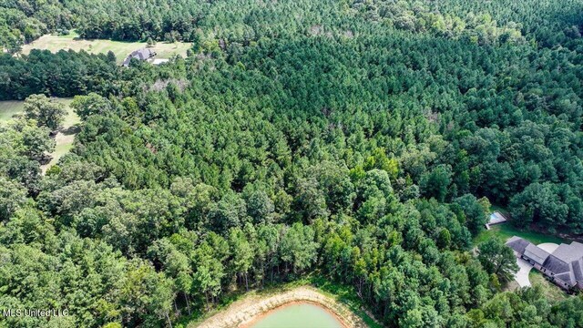 00002 Trickhambridge Rd, Brandon, MS 39042