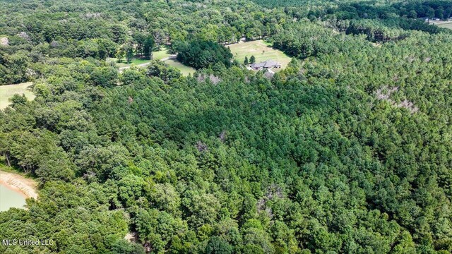 00002 Trickhambridge Rd, Brandon, MS 39042